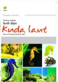 Panduan lengkap budidaya kuda laut