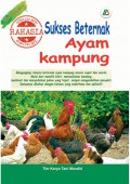 Rahasia sukses beternak ayam kampung