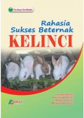 rahasia sukses beternak kelinci
